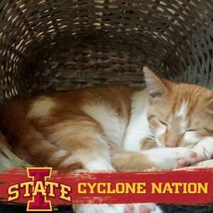 Meet your Posher, Carol